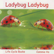 Ladybug Ladybug: Life Cycle Books