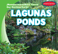 Lagunas / Ponds