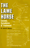Lame Horse: Causes, Symptoms and Treatment