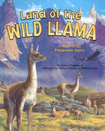 Land of the Wild Llama: A Story of the Patagonian Andes - Fraggalosch, Audrey M, and Audrey Fraggalosch, and Kaye, Randye (Narrator)