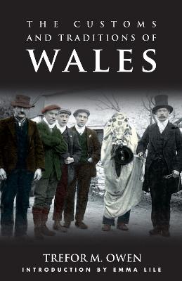 Language, Economy and Society: The Changing Fortunes of the Welsh Language in the Twetieth-Century - Aitchison, John, and Carter, Harold