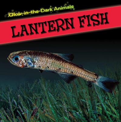 Lantern Fish - Howell, Sara