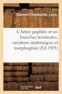 L'Artre Poplite Et Ses Branches Terminales, Variations Anatomiques Et Morphognie