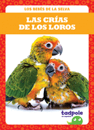 Las Cr?as de Los Loros (Parrot Chicks)