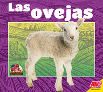 Las Ovejas (Sheep)