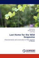 Last Home for the Wild Grapevine