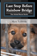 Last Stop Before Rainbow Bridge: Inspiring Stories of True Animal Rescues