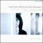 Late Piano Works by Franz Schubert - Nami Ejiri (piano)