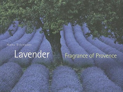 Lavender: Fragrance of Provence - Silvester, Hans