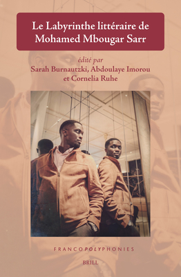 Le Labyrinthe Litt?raire de Mohamed Mbougar Sarr - Burnautzki, Sarah, and Imorou, Abdoulaye, and Ruhe, Cornelia