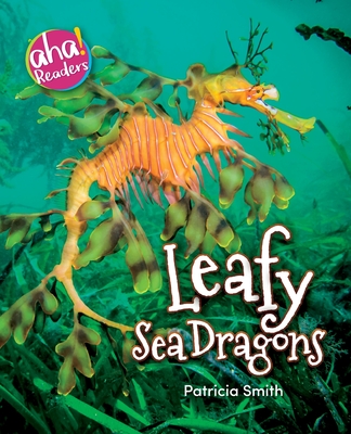 Leafy Sea Dragons - Smith, Patricia, and Raymo, Tara (Designer), and Mitten, Luana K (Editor)