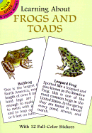 Learning about Frogs and Toads