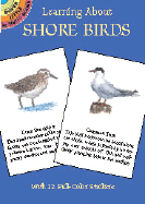 Learning about Shore Birds