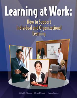 Learning at Work: How to Support Individual and Organizational Learning - O'Connor, Bridget N, Dr., and Bronner, Michael, and DeLaney, Chester