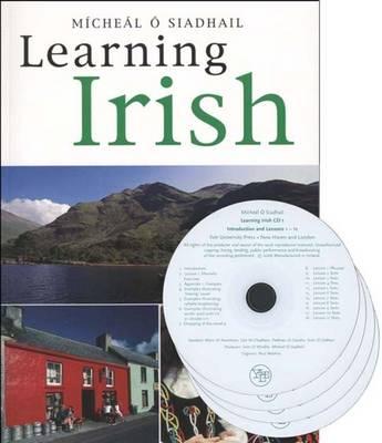 Learning Irish - O'Siadhail, Michael, Professor