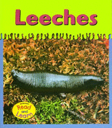 Leeches - Schaefer, Lola M