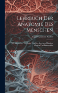 Lehrbuch Der Anatomie Des Menschen: Bd. Allgemeiner Teil, Lehre Von Den Knochen, Handern, Muskeln Und Eingeweiden