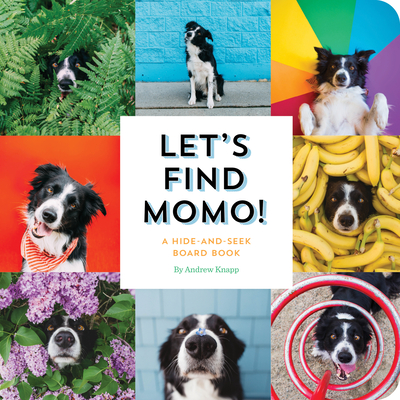 Let's Find Momo!: A Hide-and-Seek Board Book - Knapp, Andrew