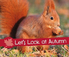 Let's Look at Autumn