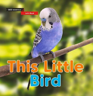 Let's Read: This Little Bird - Morton, Sasha