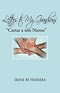 Letters to my Grandsons: Cartas a mis Nietos