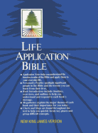 Life Application Bible