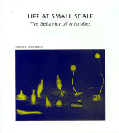 Life at Small Scale