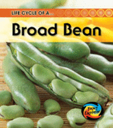 Life Cycle of a Broad Bean - Royston, Angela