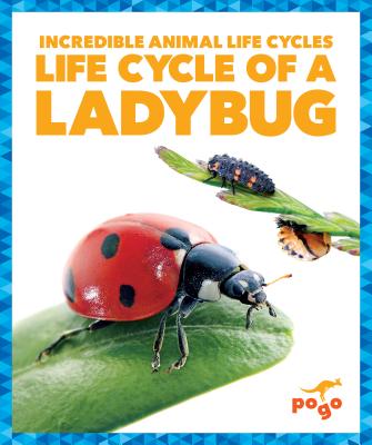 Life Cycle of a Ladybug - Latchana Kenney, Karen