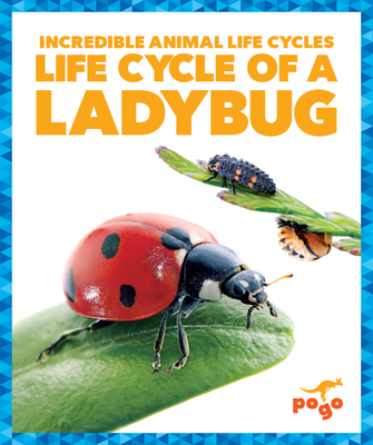 Life Cycle of a Ladybug - Kenney, Karen