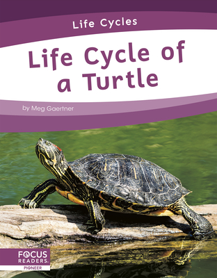 Life Cycle of a Turtle - Gaertner, Meg