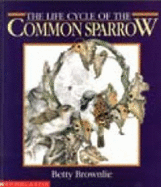 Life Cycle of the Common Sparrow