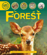 Life Cycles: Forest