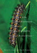 Life Histories of Cascadia Butterflies