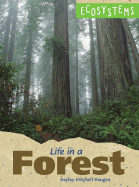 Life in a Forest - Haugen, Hayley Mitchell