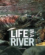 Life in a River - Rapp, Valerie