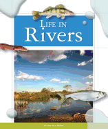 Life in Rivers