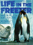 Life in the Freezer: Natural History of the Antarctic - Fothergill, Alastair, and Osborne, Ben (Photographer), and Attenborough, David, Sir (Foreword by)