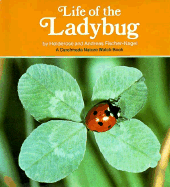 Life of the Ladybug - Fischer-Nagel, Andreas, and Fischer-Nagel, Heiderose, and Fischer, Nagel Andreas