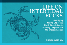 Life on Intertidal Rocks: Identifying Marine Life of the North Atlantic Coast, Including Tidepools and the Intertidal Zones