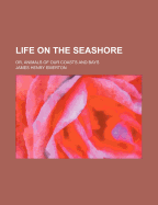 Life on the Seashore: Or, Animals of Our Coasts and Bays