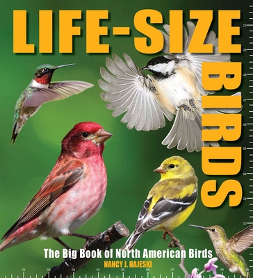 Life-Size Birds: The Big Book of North American Birds - Hajeski, Nancy J