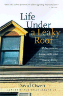 Life Under a Leaky Roof