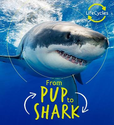 Lifecycles - Pup To Shark - de la Bedoyere, Camilla