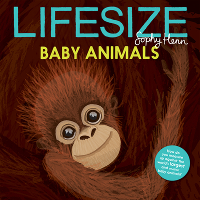 Lifesize Baby Animals - Henn, Sophy