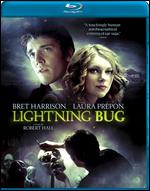 Lightning Bug - Robert Hall
