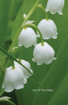 Lily Of The Valley: Journal - Hirose, Mary