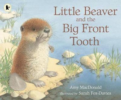 Little Beaver and the Big Front Tooth - MacDonald, Amy