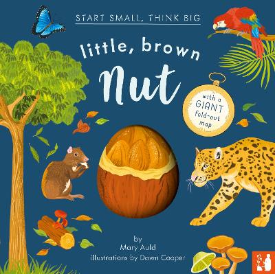 Little, Brown Nut: A fact-filled picture book about the life cycle of the Brazil nut tree, with fold-out map of the Amazon rainforest (ages 4-8) - Auld, Mary