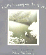 Little Bunny on the Move - 